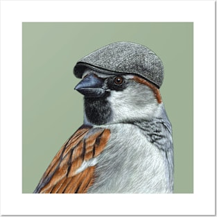 House sparrow Posters and Art